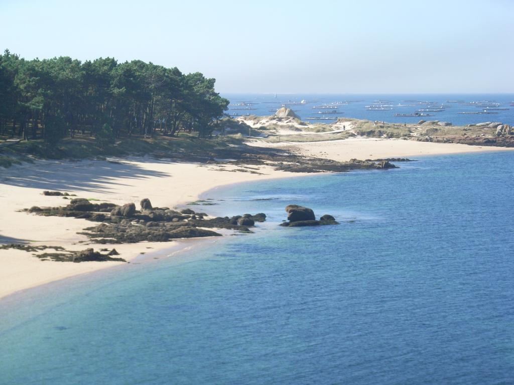 Apartamento En La Isla Con Vistas Al Mar อิสลา เด อาโรซา ภายนอก รูปภาพ